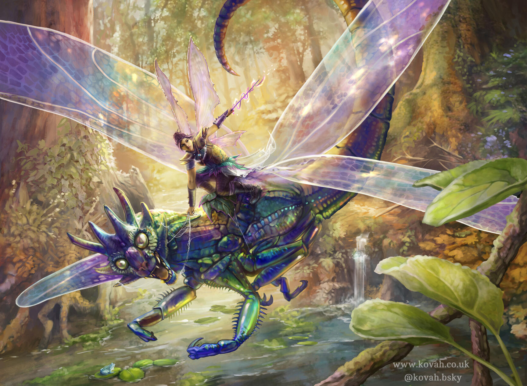 Dragonfly Hunt Dragonfly Hunt